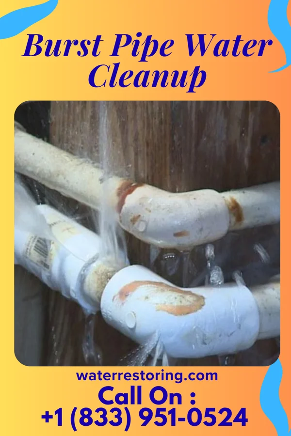 Burst Pipe Water Cleanup in Ford Cliff, PA