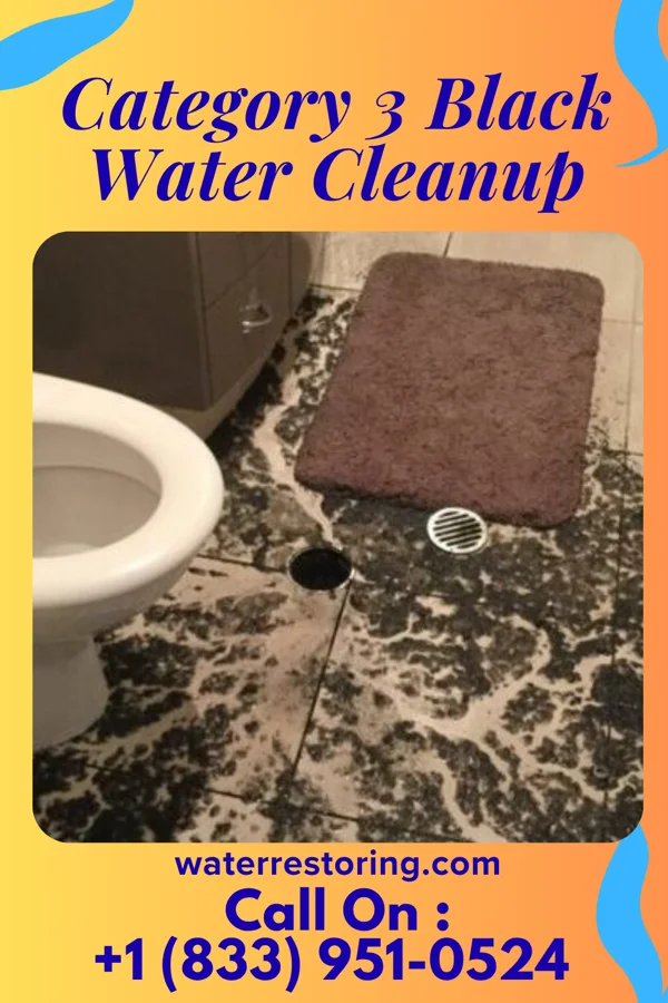 Category 3 Black Water Cleanup in Ford Cliff, PA
