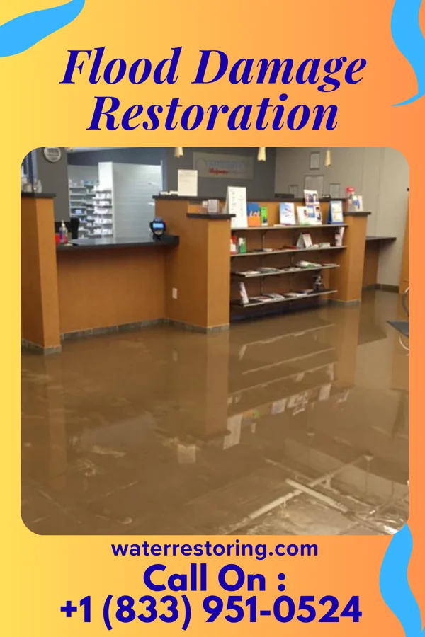Flood Damage Restoration in Ford Cliff, PA