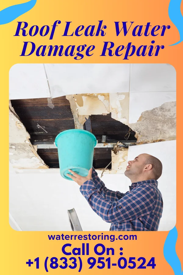 Roof Leak Water Damage Repair in Ford Cliff, PA