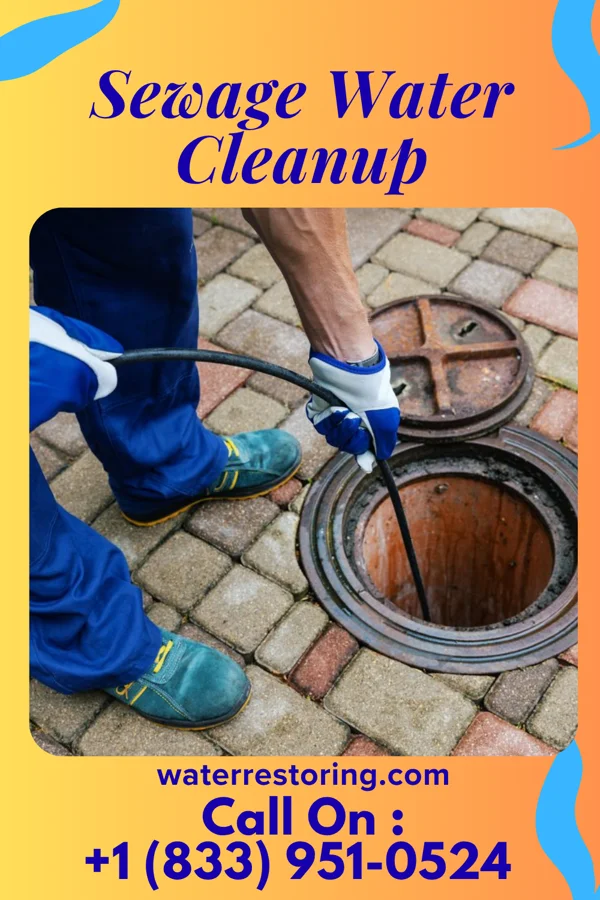 Sewage Water Cleanup in Ford Cliff, PA